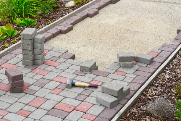 Best Driveway Paving Near Me  in Rodney Village, DE